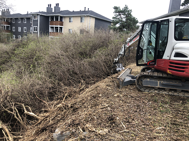 Land Vegetation Clearing